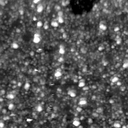 m21267_ori