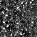 m21268_ori