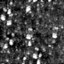 m21269_ori