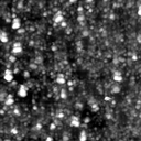 m21270_ori