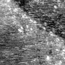 m21544_ori