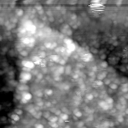 m21545_ori