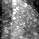 m21546_ori