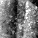 m21548_ori