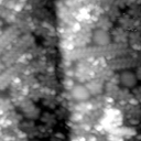 m21553_ori
