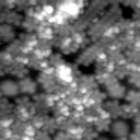 m21559_ori