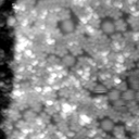 m21564_ori