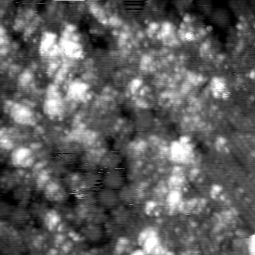 m21571_ori