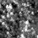 m21571_ori