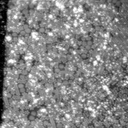 m21573_ori