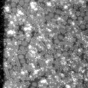 m21574_ori