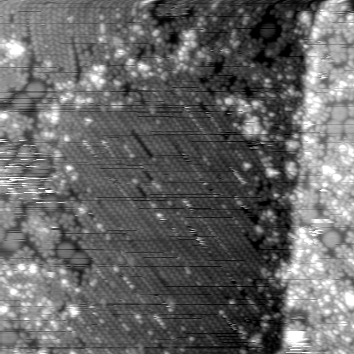 m21576_ori