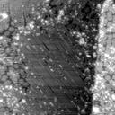 m21576_ori