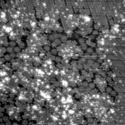 m21577_ori