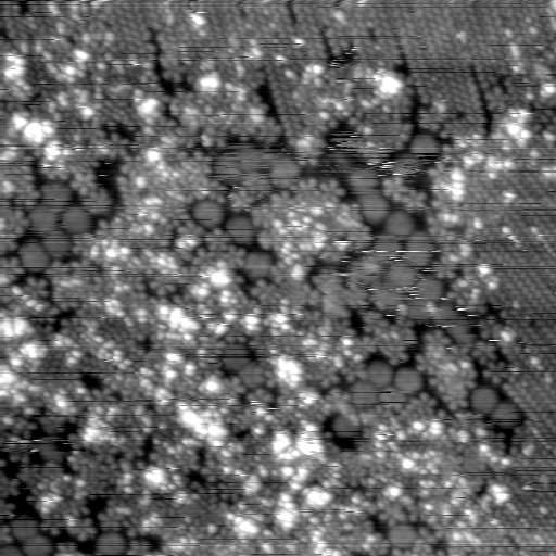 m21577_ori