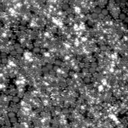 m21578_ori