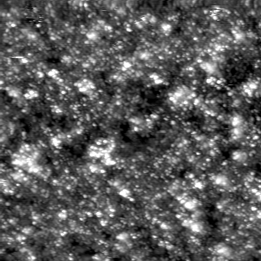 m21584_ori