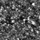 m21586_ori