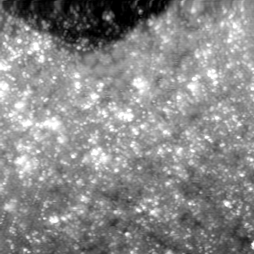 m21587_ori