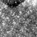 m21587_ori