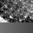 m21588_ori