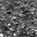 m21761_ori