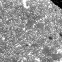 m21764_ori