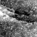 m21765_ori