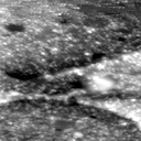 m21769_ori
