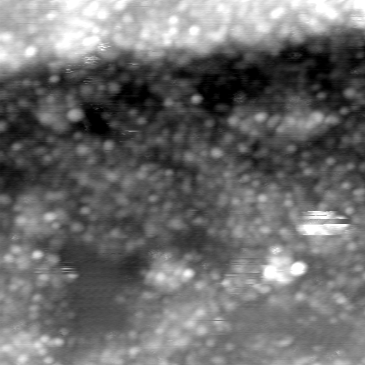 m21771_ori