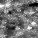 m21771_ori