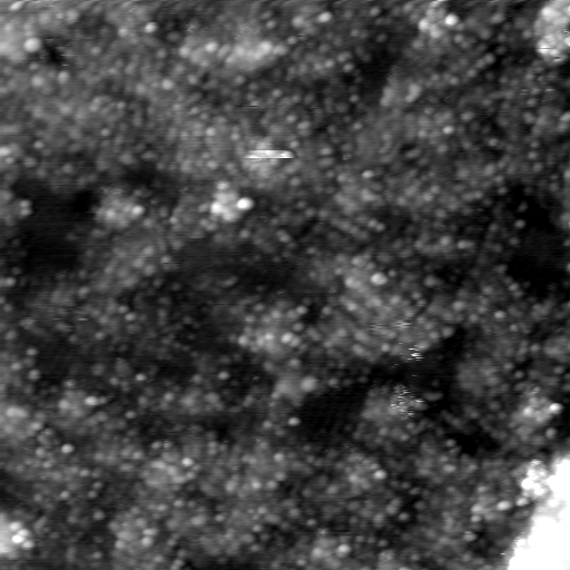 m21772_ori