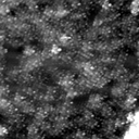 m21772_ori