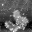 m22541_ori