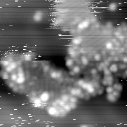 m22542_ori