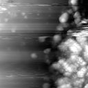 m22768_ori