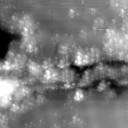 m22937_ori