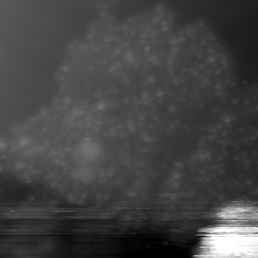 m22945_ori