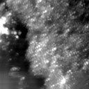 m22953_ori