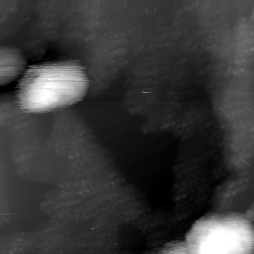 m22973_ori