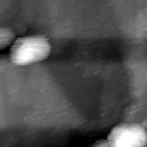 m22973_ori