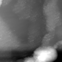 m22974_ori