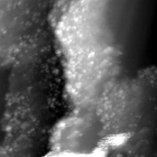 m22975_ori