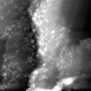 m22975_ori