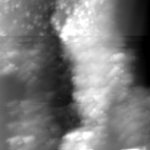 m22976_ori