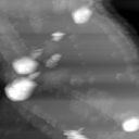 m22977_ori