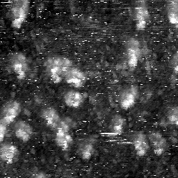 m4453_ori