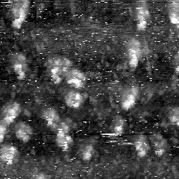 m4453_ori