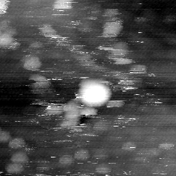 m4459_ori