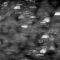 m4463_ori